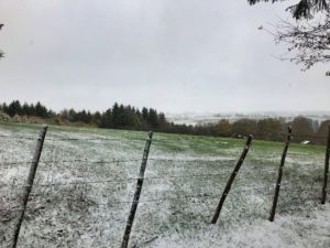 De eerste sneeuw in de Ardennen