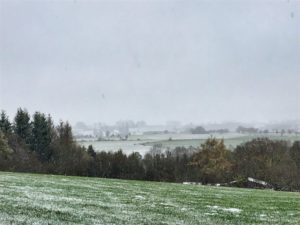 De eerste sneeuw in de Ardennen
