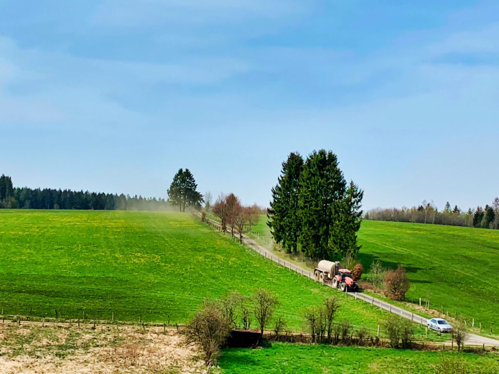 Lente / Printemps / Frühjahr / Spring (Fotos: Ardennes + Hautes Fagnes)